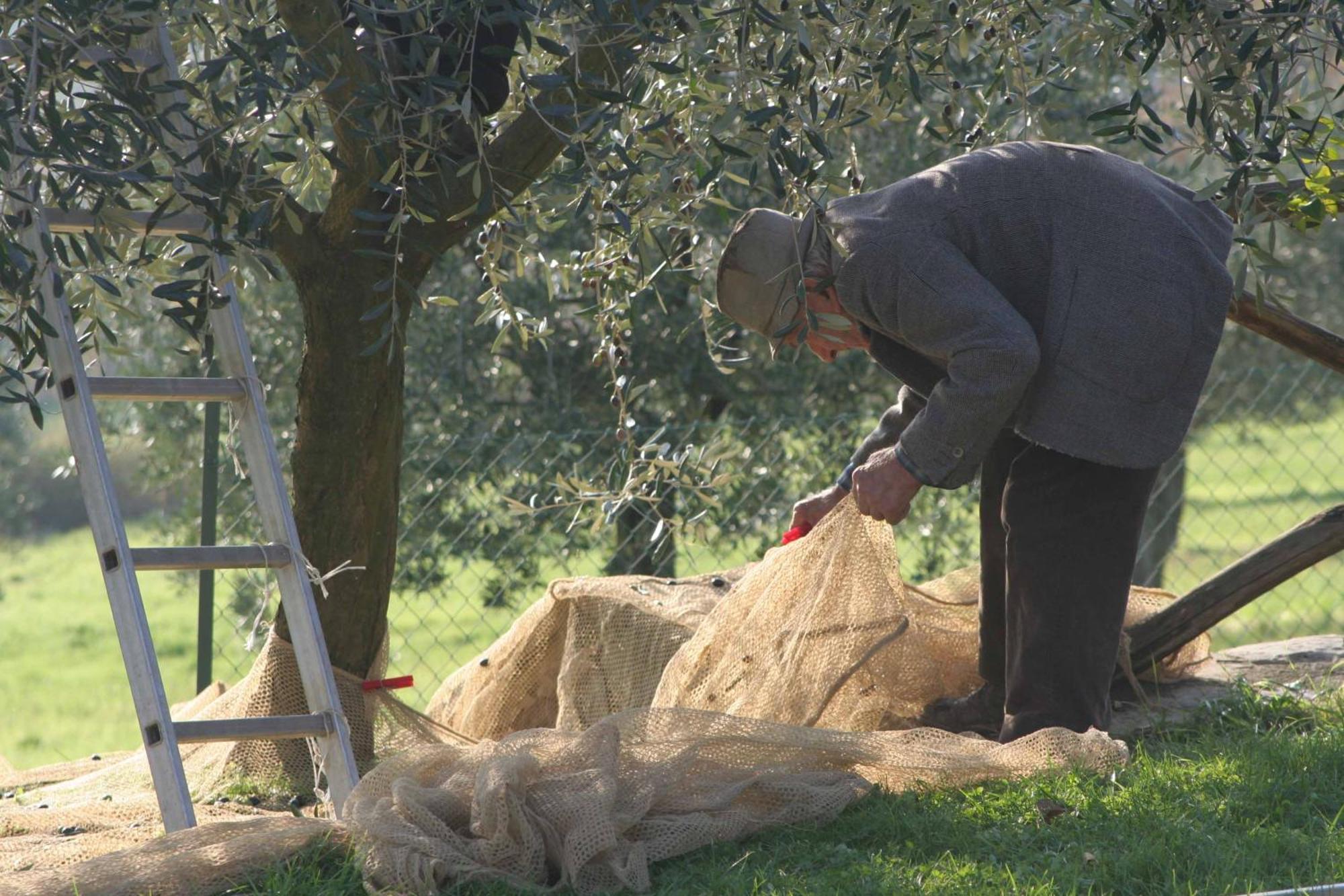 Agriturismo Le Ceregne Bio 皮耶韦圣斯特凡诺 外观 照片
