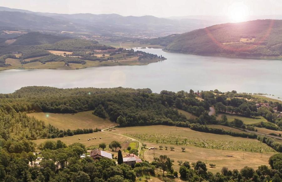 Agriturismo Le Ceregne Bio 皮耶韦圣斯特凡诺 外观 照片
